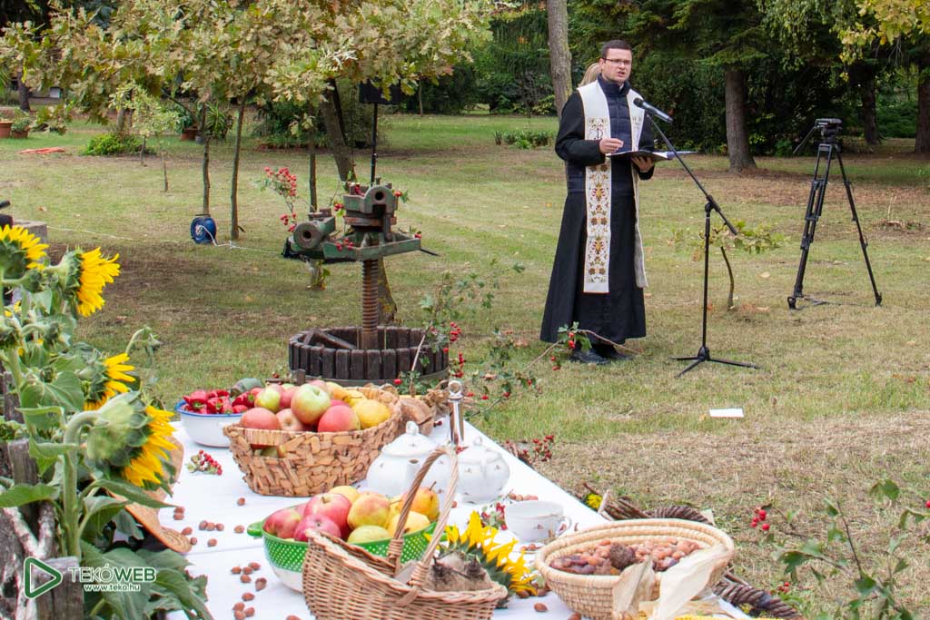 termenyaldas20 14