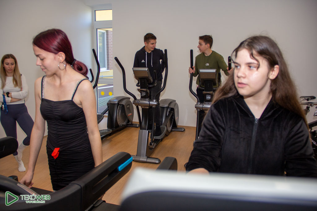 fazekas24 21