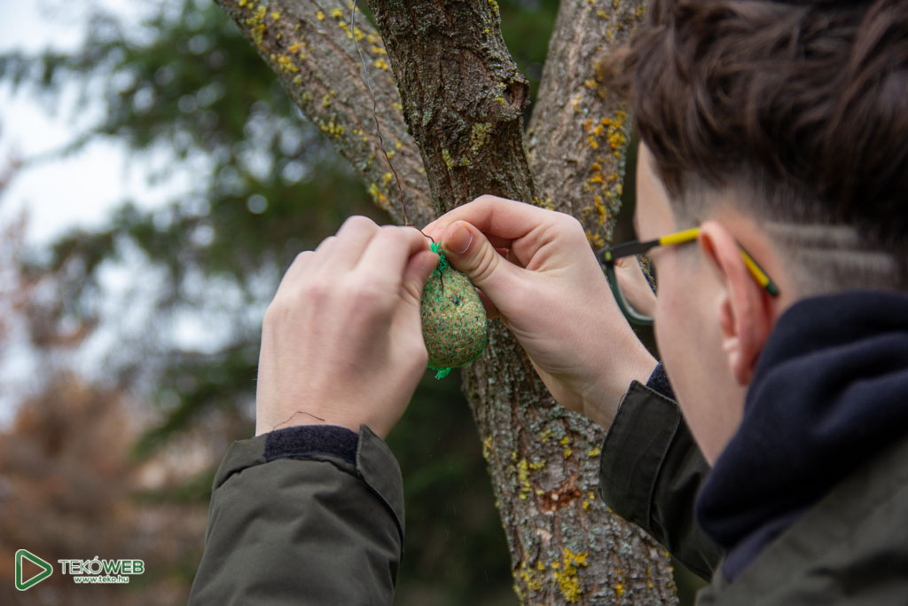 madareteto24 2