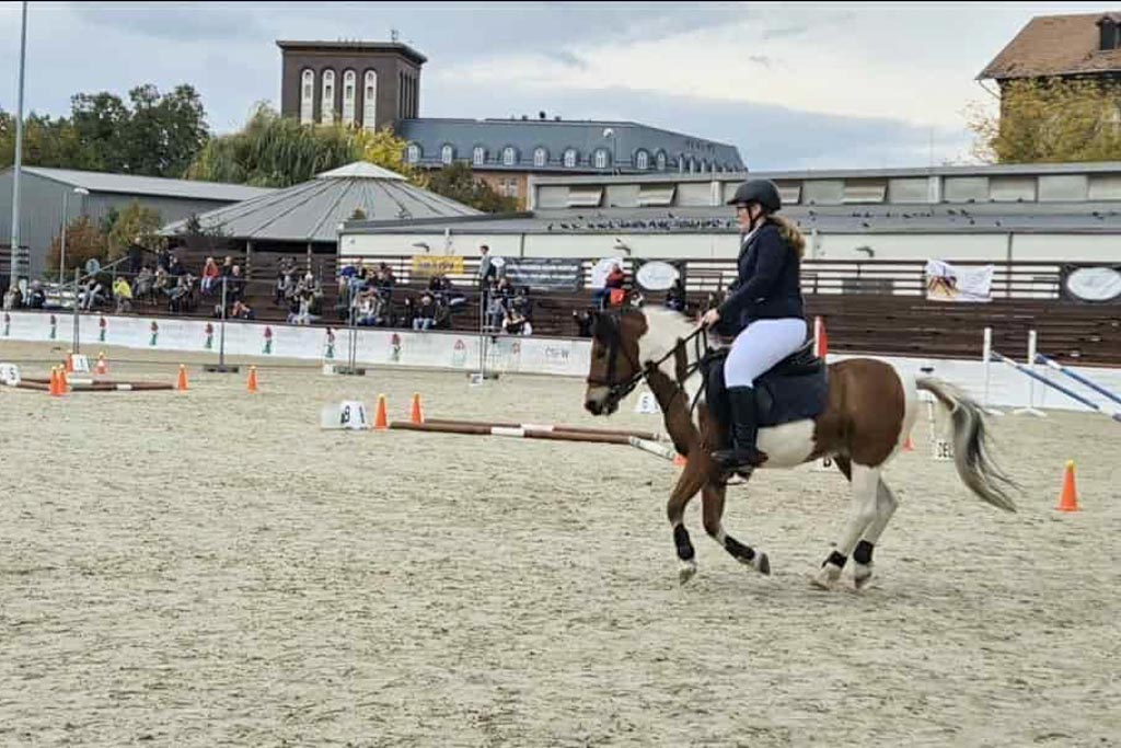 20251014 lovas 4